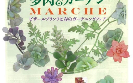 20260328荒子川　多肉ガーデンマルシェのサムネイル